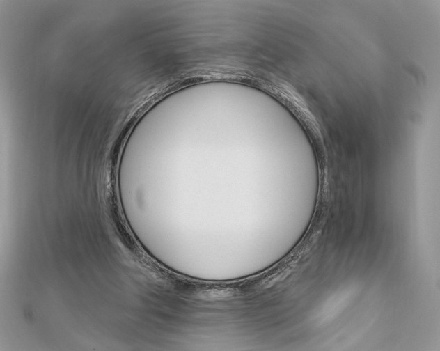 X0000113060202200908280955