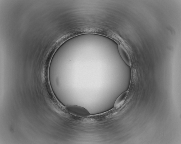 X0000113060203200908280955