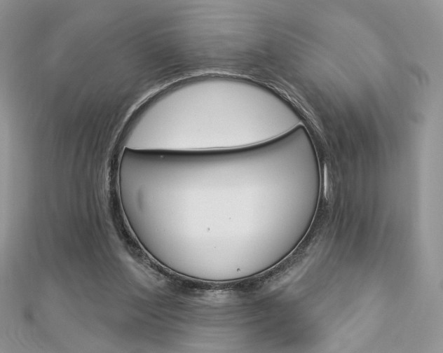 X0000113060204200908280955