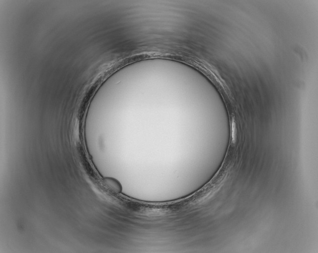 X0000113060205200908280955