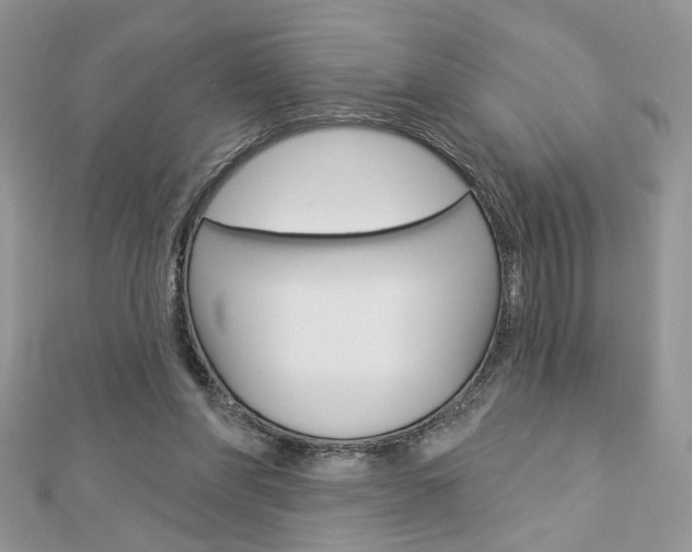 X0000113060206200908280955