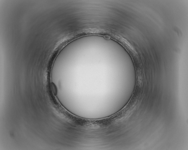 X0000113060207200908280955