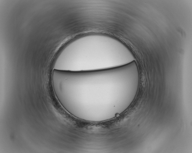 X0000113060208200908280955