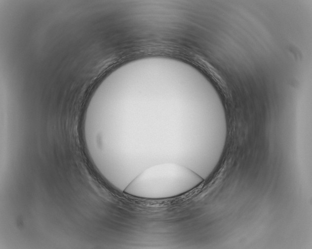 X0000113060209200908280955