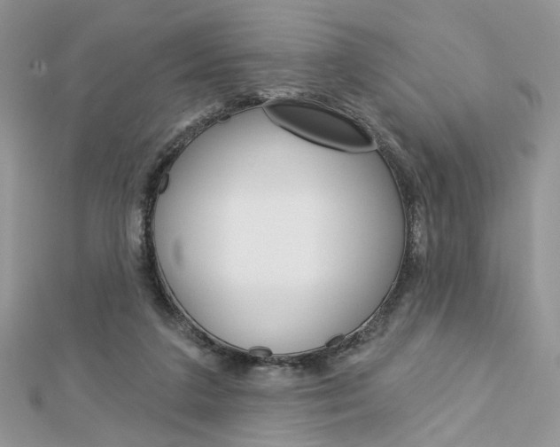 X0000113060211200908280955