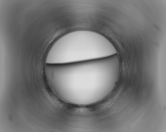 X0000113060212200908280955