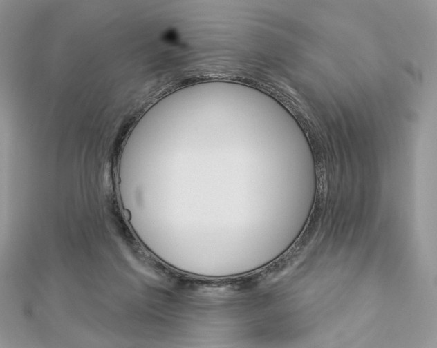 X0000113060213200908280955