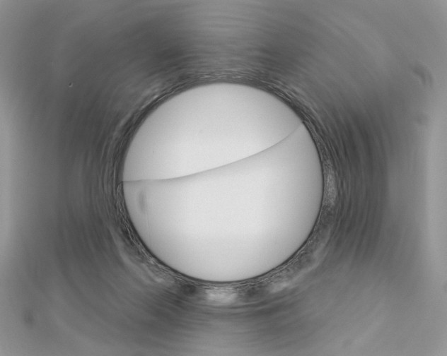 X0000113060214200908280955