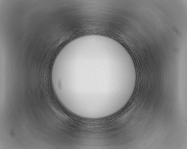 X0000113060215200908280955