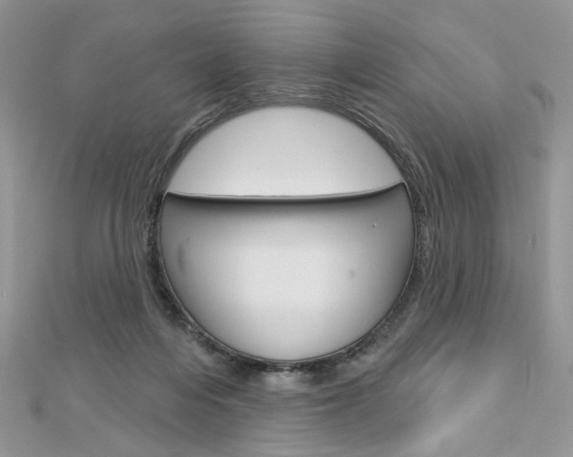 X0000113060216200908280955