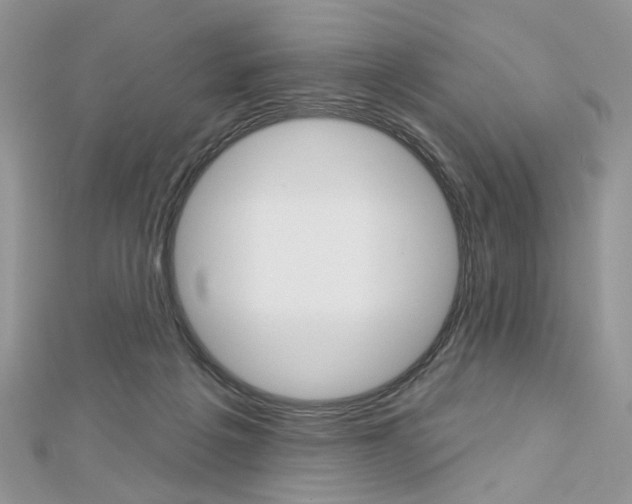 X0000113060217200908280955