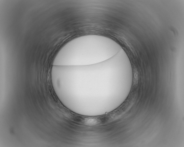 X0000113060218200908280955