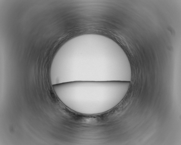 X0000113060220200908280955