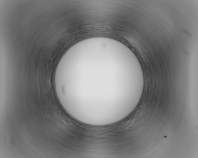 X0000113060221200908280955