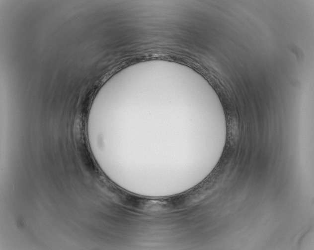 X0000113060222200908280955