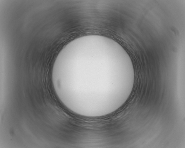 X0000113060223200908280955