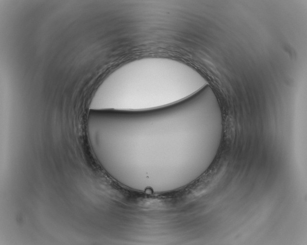 X0000113060224200908280955