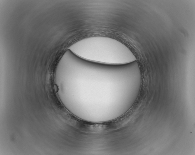 X0000113060225200908280954