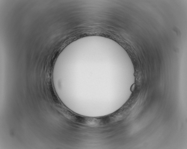 X0000113060226200908280954