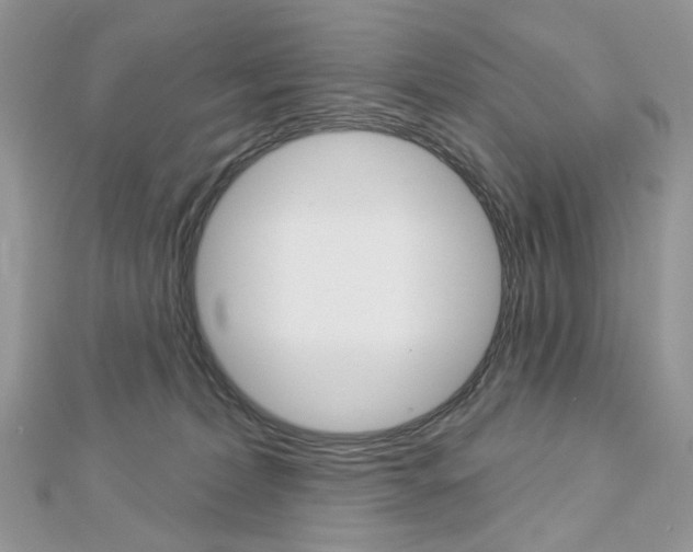 X0000113060228200908280954
