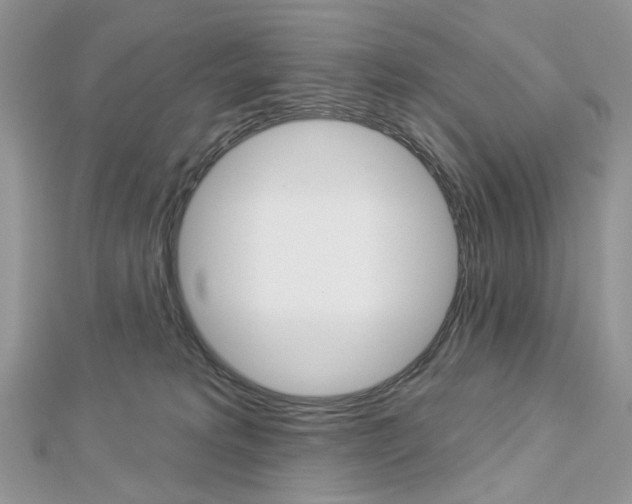 X0000113060229200908280954