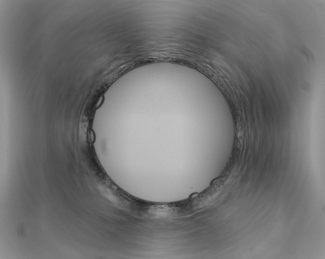 X0000113060231200908280954