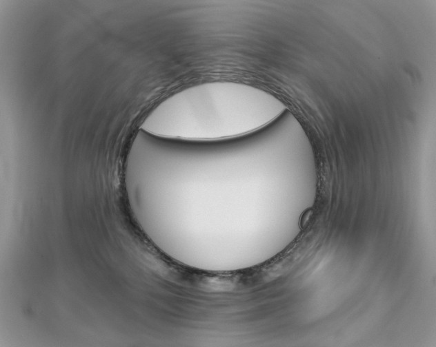 X0000113060232200908280954