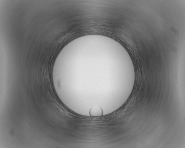 X0000113060233200908280954