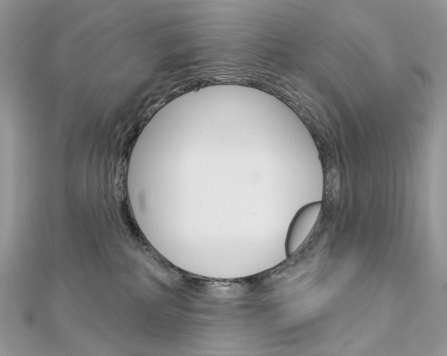 X0000113060234200908280954