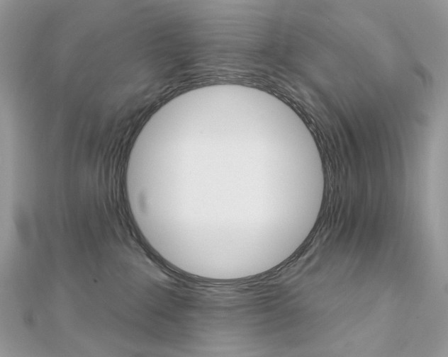 X0000113060235200908280954
