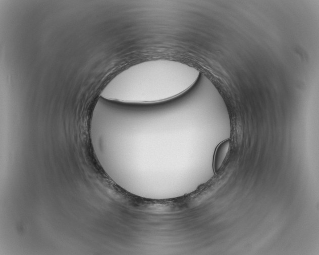 X0000113060236200908280954