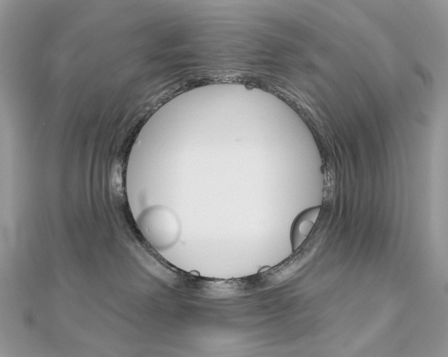 X0000113060238200908280954