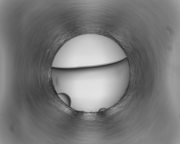 X0000113060240200908280954