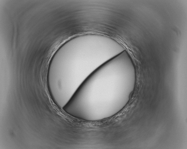 X0000113060241200908280954