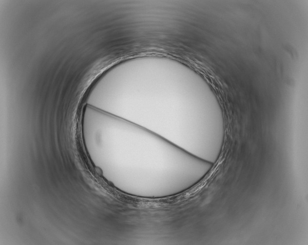 X0000113060242200908280954