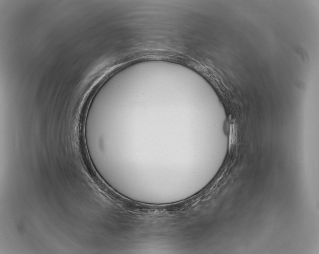X0000113060243200908280954