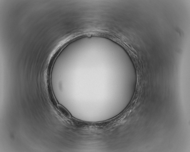 X0000113060244200908280954