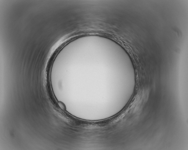 X0000113060246200908280954