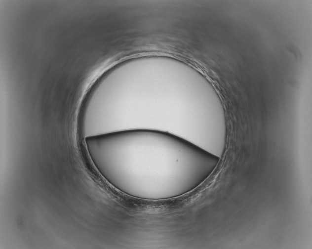X0000113060248200908280954