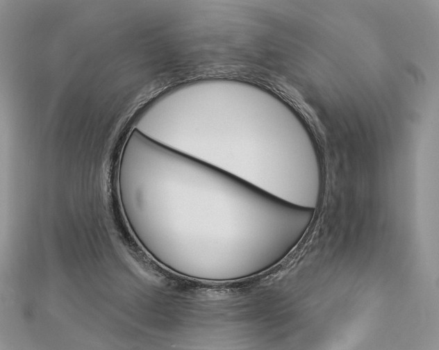 X0000113060250200908280954