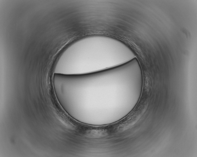 X0000113060251200908280954
