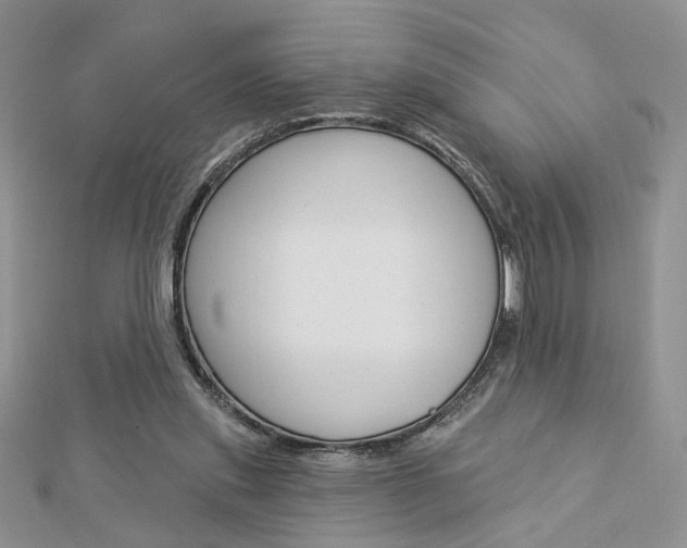 X0000113060253200908280954