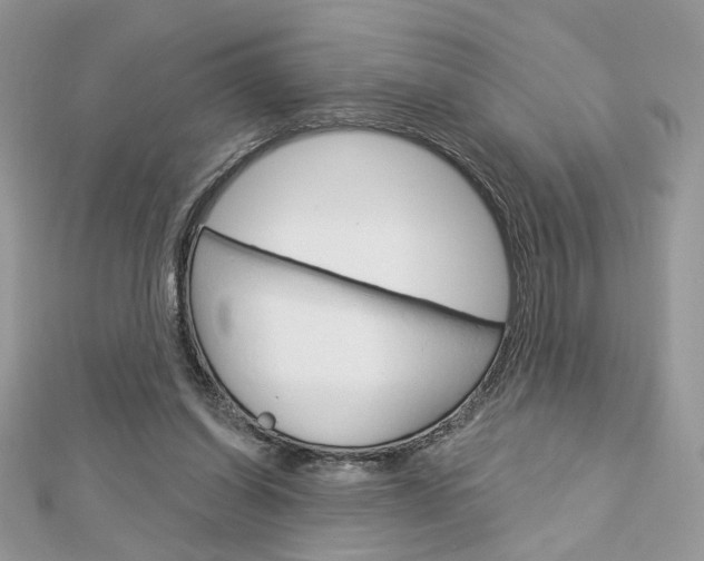 X0000113060254200908280954