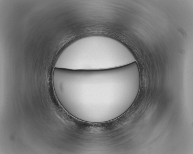 X0000113060255200908280954