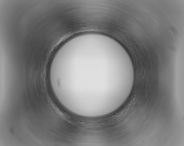 X0000113060256200908280954