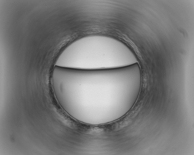 X0000113060257200908280954