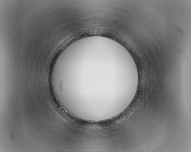 X0000113060258200908280954