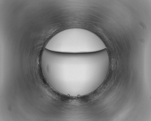 X0000113060259200908280954