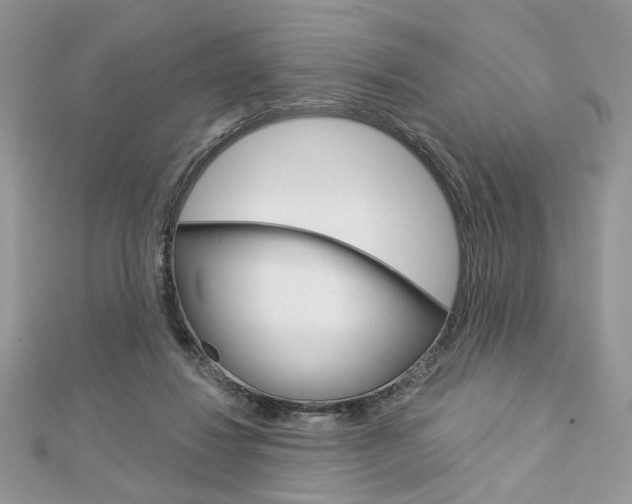 X0000113060260200908280954