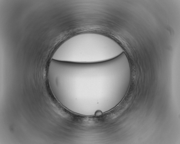 X0000113060261200908280954